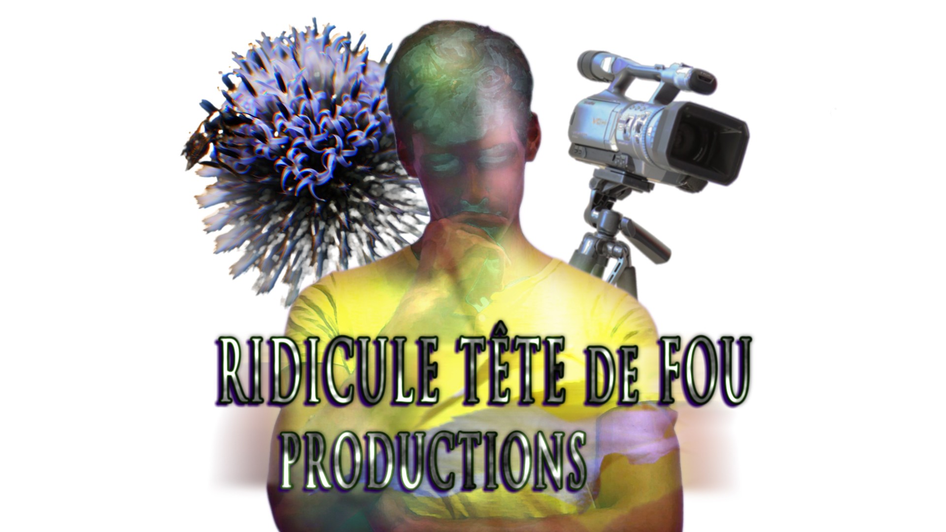 La farfadette montréalaise vient du Brésil